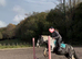 Gypsy cob (mare) 14hh