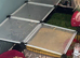 Mini Lop - Female + indoor set up