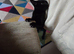 Beautiful black kitten
