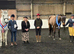 12.2 cob mare 6 years old child and novice safe