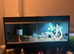 Vivarium