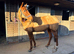 Bran 16.2 12yo Gelding