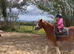 Lr/fr/pc/happy hacker/allrounder/show pony