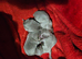 KC Lilac chihuahua pups Tested CLEAR parents