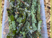 Quality Moss, Lichen Sticks - Foodstock for Isopods, Millipededs etc