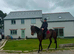 Thoroughbred mare 8 years old