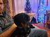 Black /tan for sale