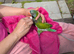 Lord Derby's Parakeet Baby for Sale