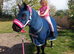 Registered Standard shetland