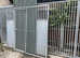 Dog Panel Kennels