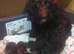 Cockapoo Puppies * last girl*
