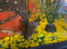 Fish tank 110 litres full set up