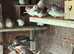 2026 Zebra Finches for sale
