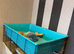 3 hamster cages and accessories