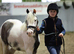 12hh 2yr old gelding to make 13hh