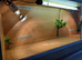 Vivarium LARGE 4 foot with electrics