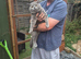 Stunning blue/silver bristish shorthair