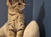 X2 beautiful kittens for rehome