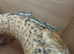 BEARDED DRAGONS WITH A TINT OF RED
