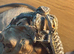 German giant bearded dragons