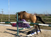 Future event/SJ through and through!