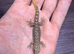 Mourning geckos