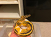 CB22 Female pastel Yellowbelly pied BP