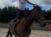 Horseball / polo safe confidence giver