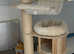 Large foldable cage for cat or dog