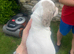MINATURE DASCHSHUND PUPPIES READY TO GO NOW
