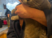 Mix British kittens