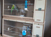 Some different age budgies and breeding boxes here