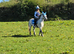 REDUCED Brave Fun Welsh Section A