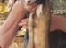 Ollie the ferret