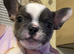 Super tiny girl