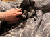 Girl sprocker