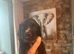 Sprocker pups for sale