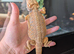 Baby bearded dragon Male