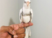 Beautiful hand tamed cockatiels for sale.