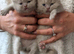 BEAUTIFUL BRITISH LONGHAIRED KITTENS FOR SALE