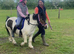 Super Safe Children&rsquo;s Pony For Sale