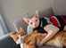 Bengal siamese cross sphynx