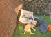 Stunning litter of F1 Goldador puppies