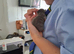 Russian blue babies stunning