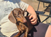 Mini dachshund female 18 months