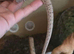 Unrelated Adult Pair Mulga Monitor