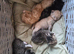 Beautiful kittens, I have both parents