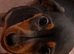 Stunning Miniature Dachsund Puppies