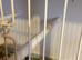 Silver bill finch