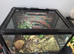 Prorep terrarium